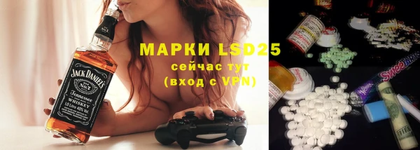 прущие грибы Лихославль