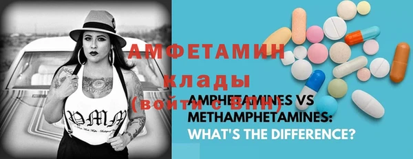 гашик Липки