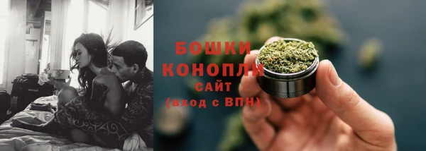 прущие грибы Лихославль