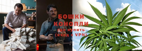гашик Липки