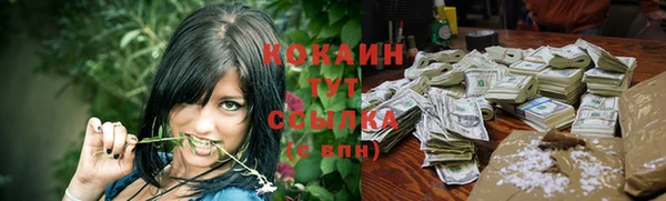 амф Магас