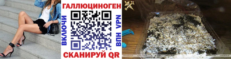 Купить  Пикалёво  Псилоцибиновые грибы Psilocybe 
